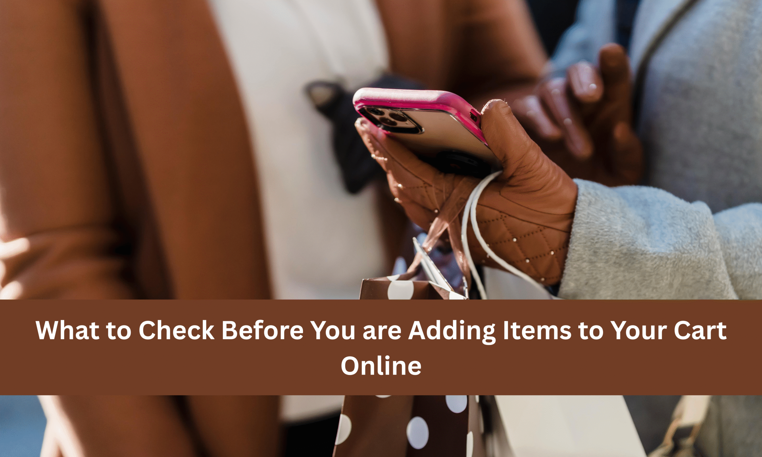 You are currently viewing What to Check Before You are Adding Items to Your Cart Online