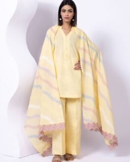 Anarkali Style Kurta with Flair